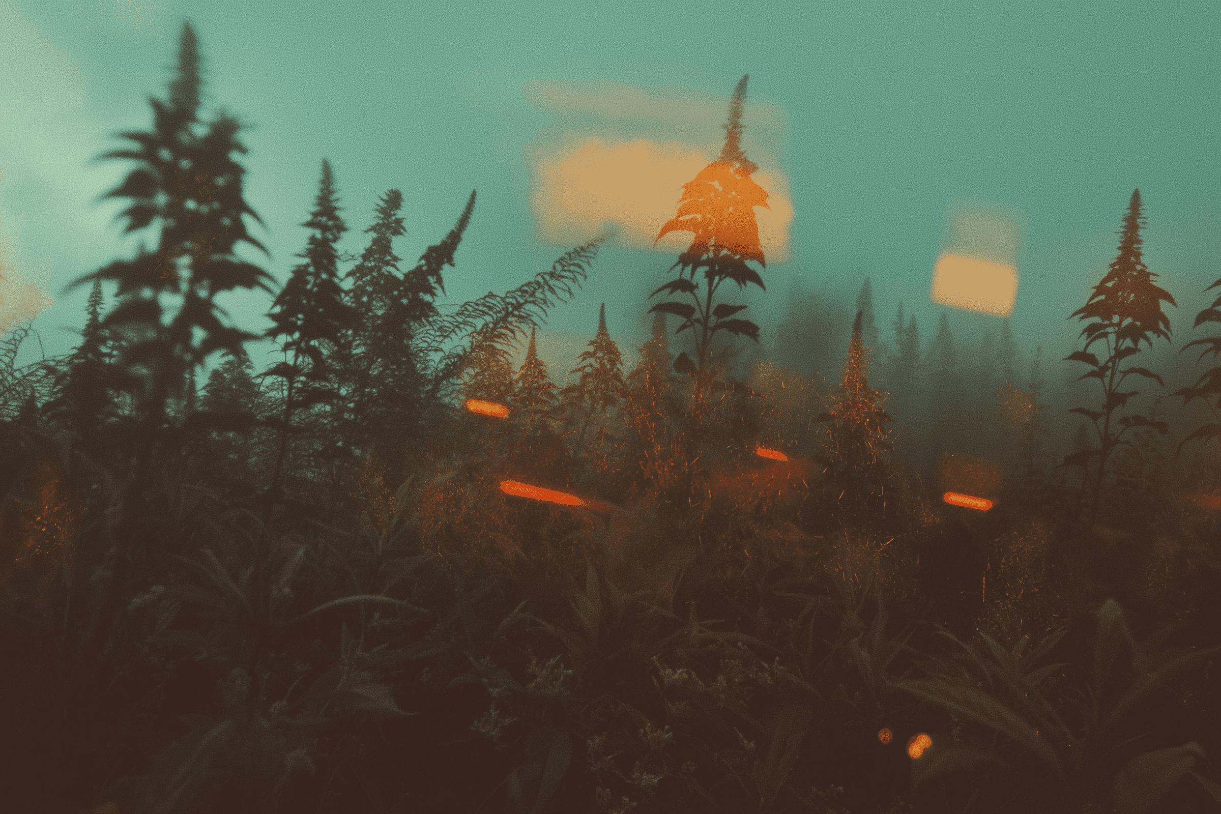 Kommunikasjon i parforhold